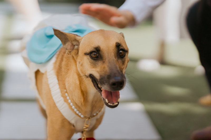 圖片來源:新人提供