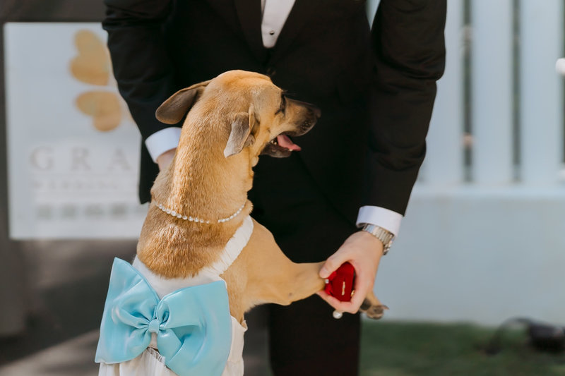 圖片來源:新人提供