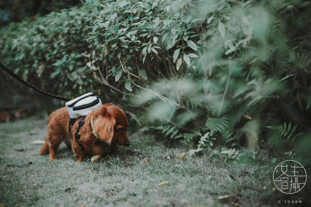 翔實影像工作室