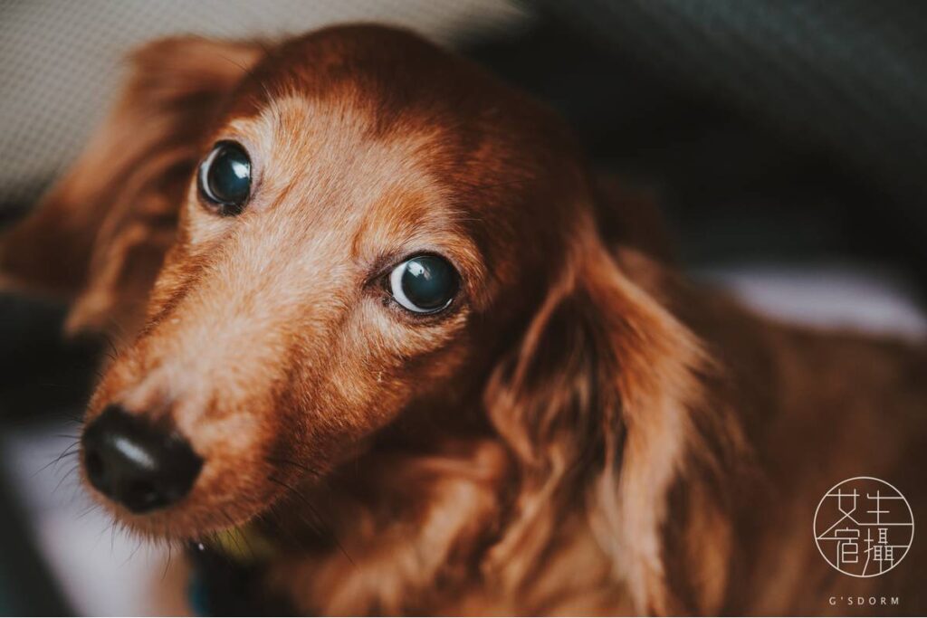 翔實影像工作室