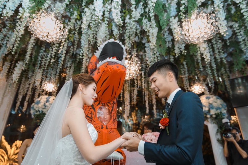 適用五倍券 奔跑少年影像事務所